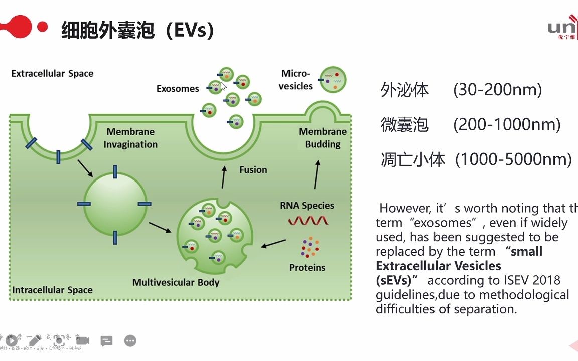 外泌体#1:这些外泌体分离方法你都知道么?哔哩哔哩bilibili