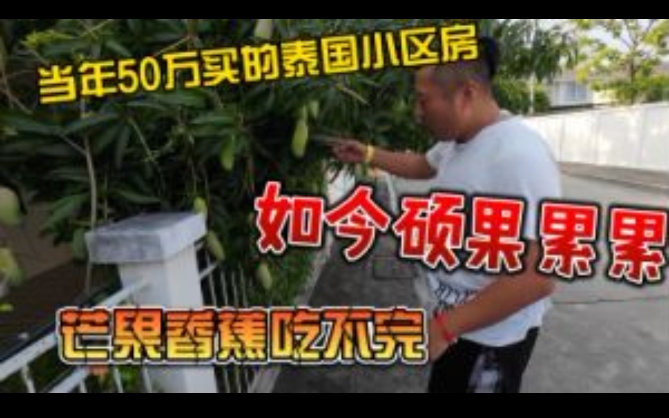 当年50万买的泰国小区房,如今硕果累累,芒果香蕉吃不完哔哩哔哩bilibili