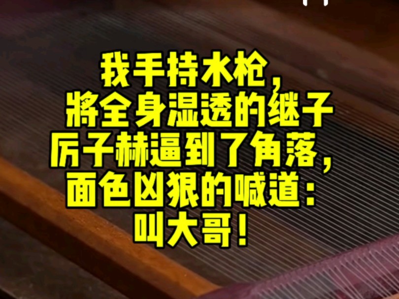 (全文已完结)我手持水枪,将全身湿透的继子厉子赫逼到了角落,面色凶狠的喊道:叫大哥!“大哥!”大声点!“大~大哥!”哔哩哔哩bilibili