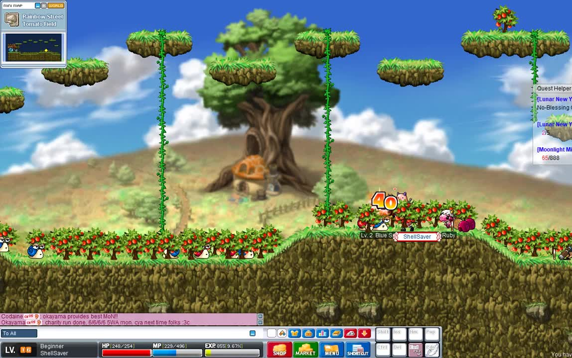 【冒险岛/怀旧】彩虹岛大魔法使的成长之路4 升到17级,魔力量突破500