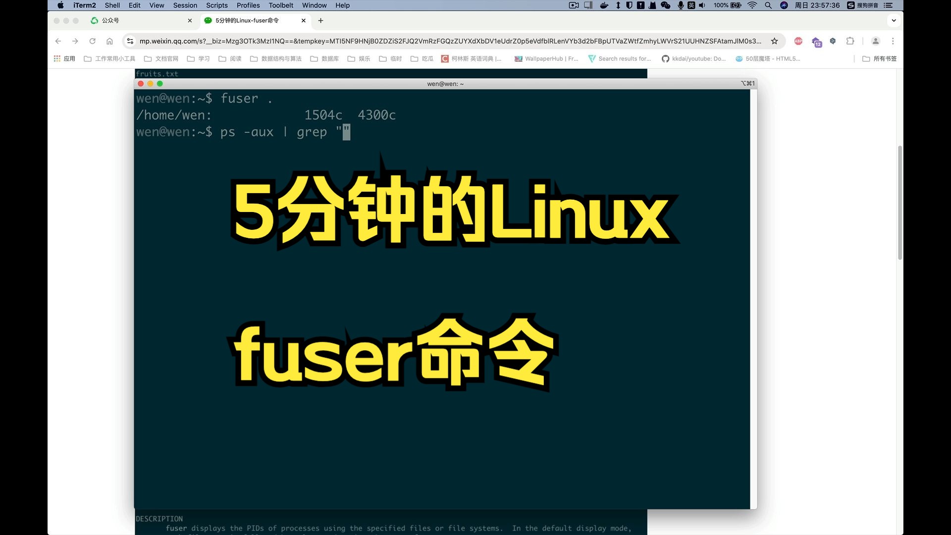 5分钟的Linuxfuser命令哔哩哔哩bilibili