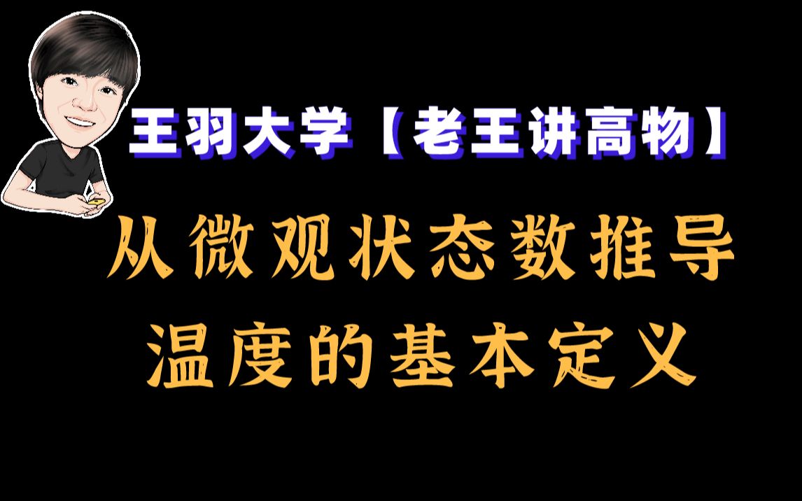 【老王—深夜理论】高物:从微观状态数推导温度的基本定义哔哩哔哩bilibili