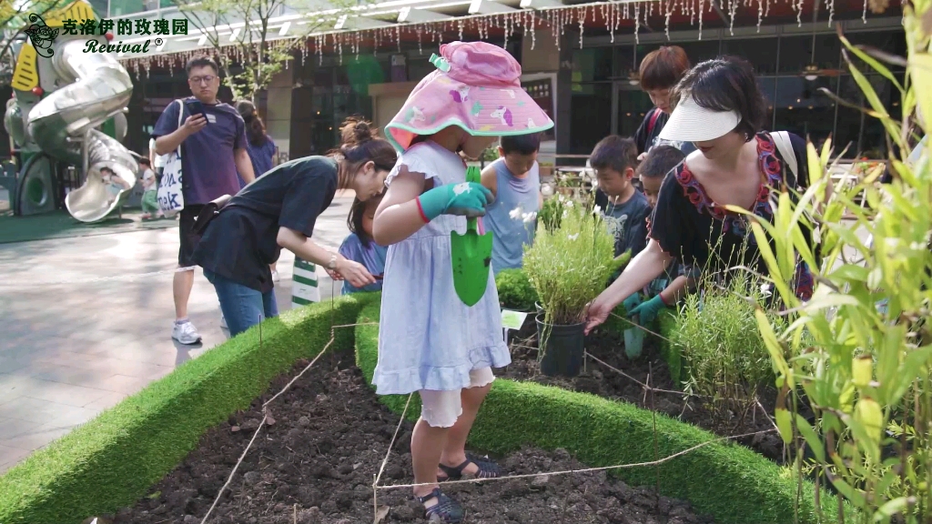 [图]大家一起亲手种下的爱心花园❤️