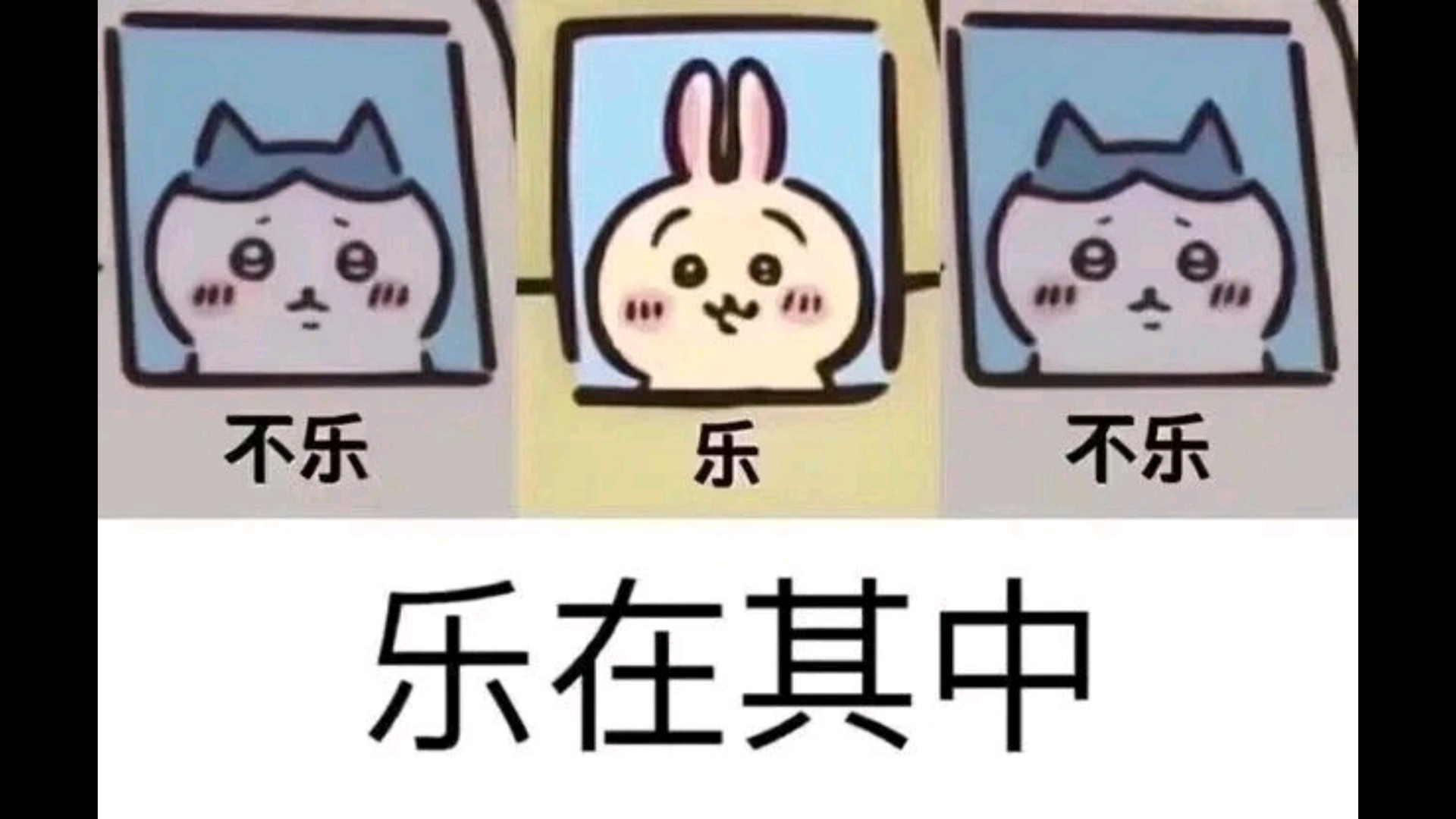 乐不乐狗表情包图片