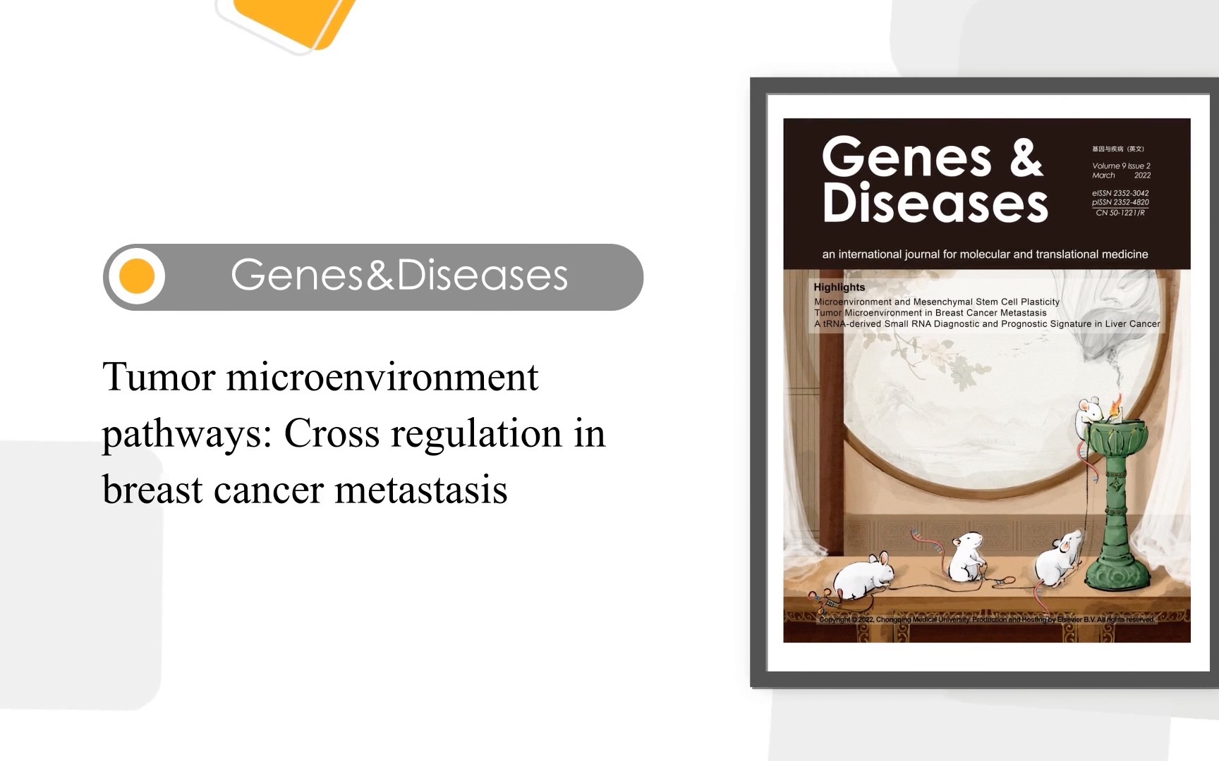 Genes & Diseases|肿瘤微环境通路:乳腺癌转移的交叉调节哔哩哔哩bilibili