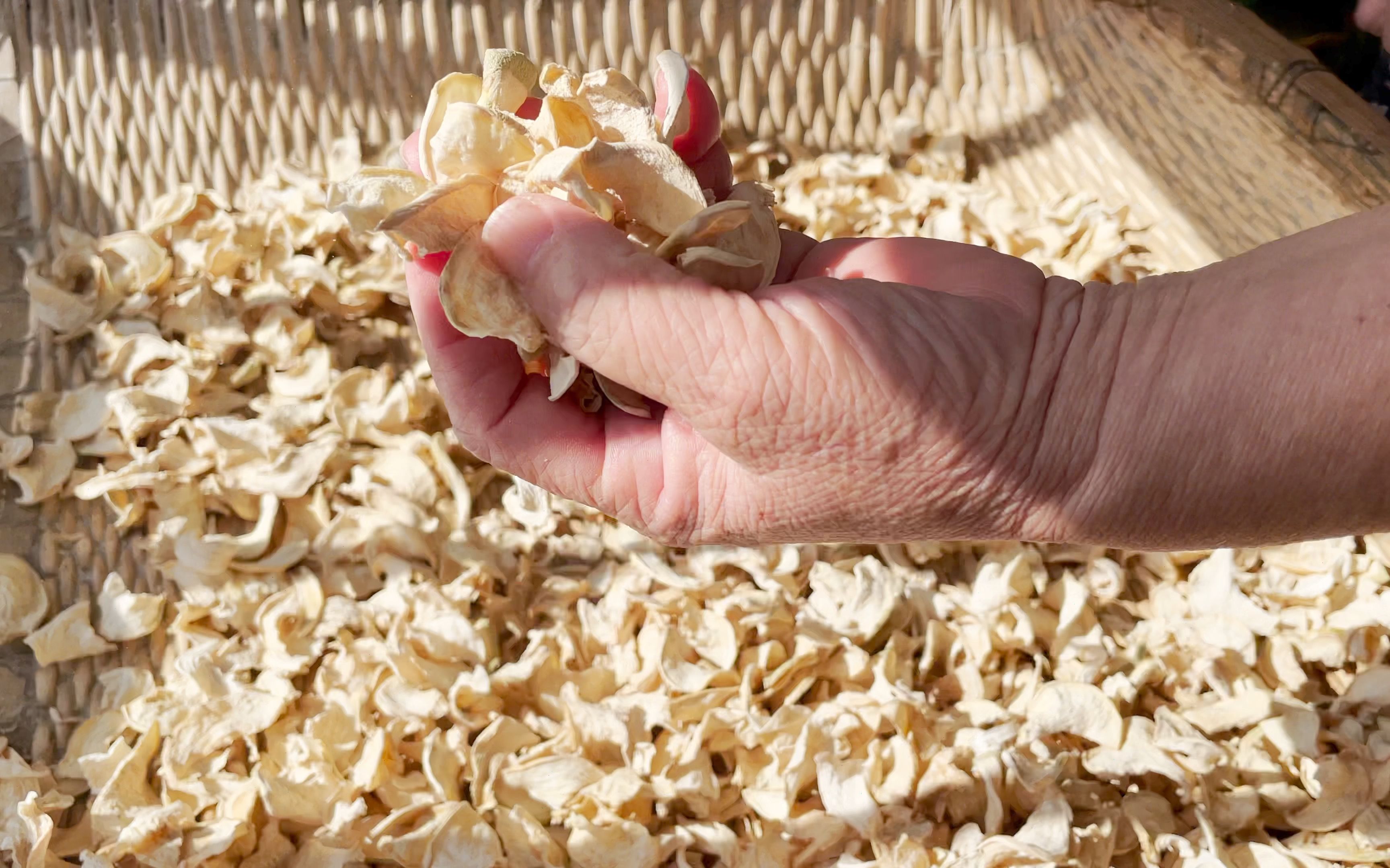 活动作品晾晒芥菜干芥菜好吃好保存冬日食物晒成干