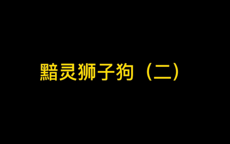 [图]趁着还没人玩黯灵狮子狗，兄弟们抓紧恰烂分