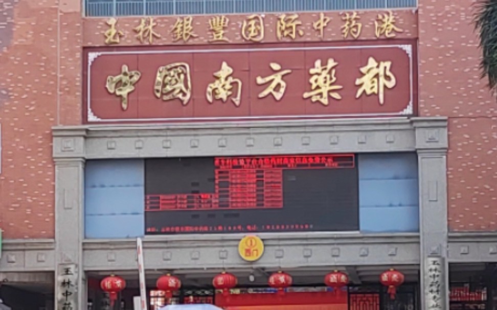 走马观花:中国南方药都-玉林银丰国际中药港