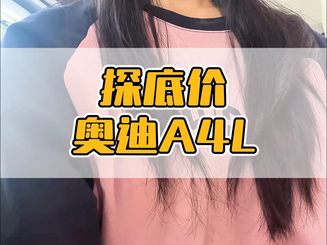 探底价奥迪AL哔哩哔哩bilibili