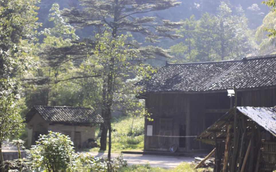 [图]零零后隐居深山，用自己喜欢的方式虚度光阴