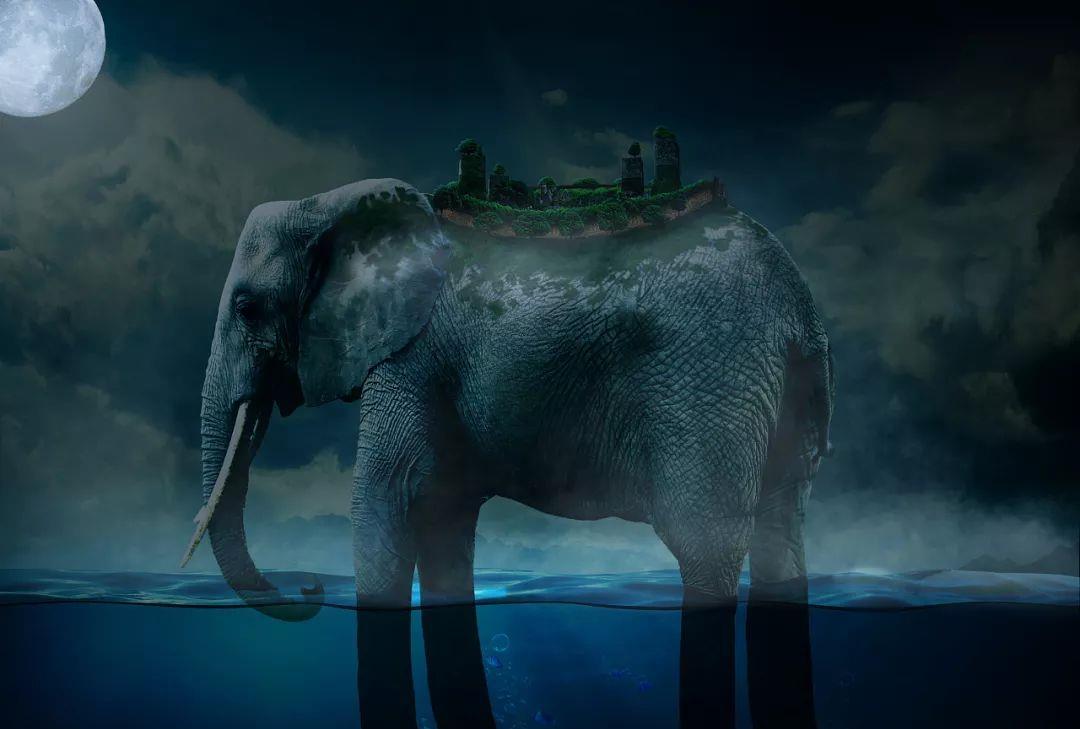 象主来和之国赎罪,乔伊波伊是桃之助,尾田定义的路飞啥也不是