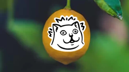 柠檬猫猫头唱歌()