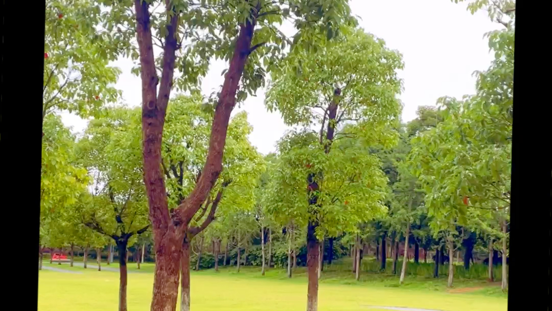 [图]雨后的青草地，清新，舒适，还有淡淡青草香