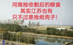 Tải video: 河南捡收割后的粮食，其实江苏也有，只不过是捡纸壳子！