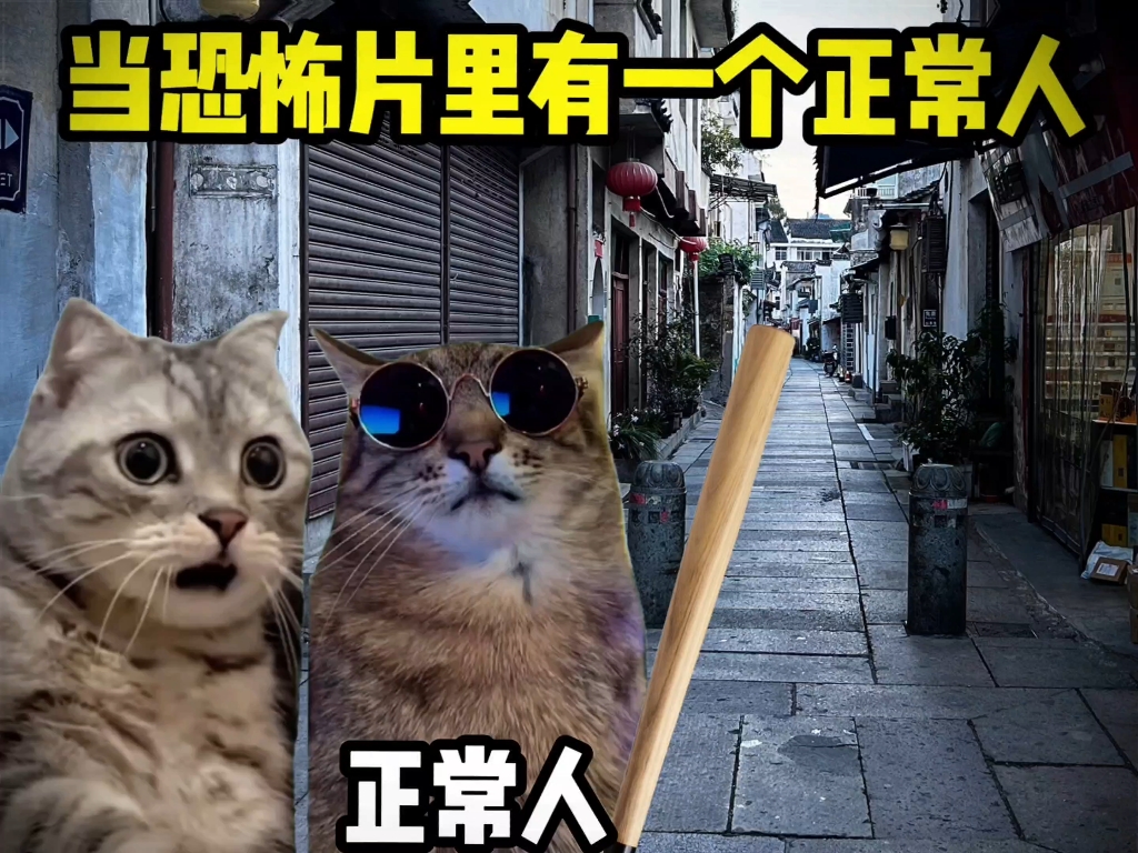 当恐怖片里有一个正常人