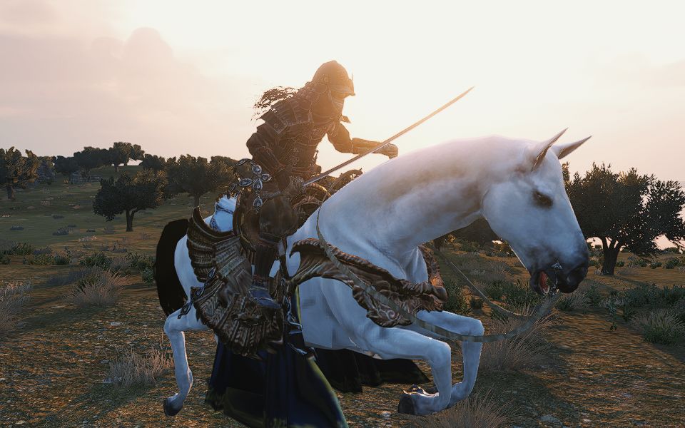 颅内高潮的骑砍2战斗混剪(30s后开始爽)