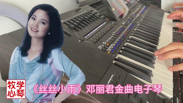 《丝丝小雨》邓丽君金曲电子琴演奏哔哩哔哩bilibili