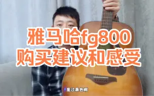 Télécharger la video: 雅马哈fg800购买建议和感受