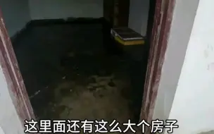 Télécharger la video: 但凡有一点办法我也不会把狗狗的声带切了，请你不要说我太残忍了。