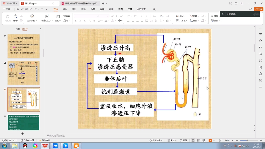 高中生物强基—胃肠道消化生理2哔哩哔哩bilibili