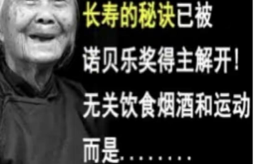 那些让人笑掉牙的沙雕图系列2哔哩哔哩bilibili