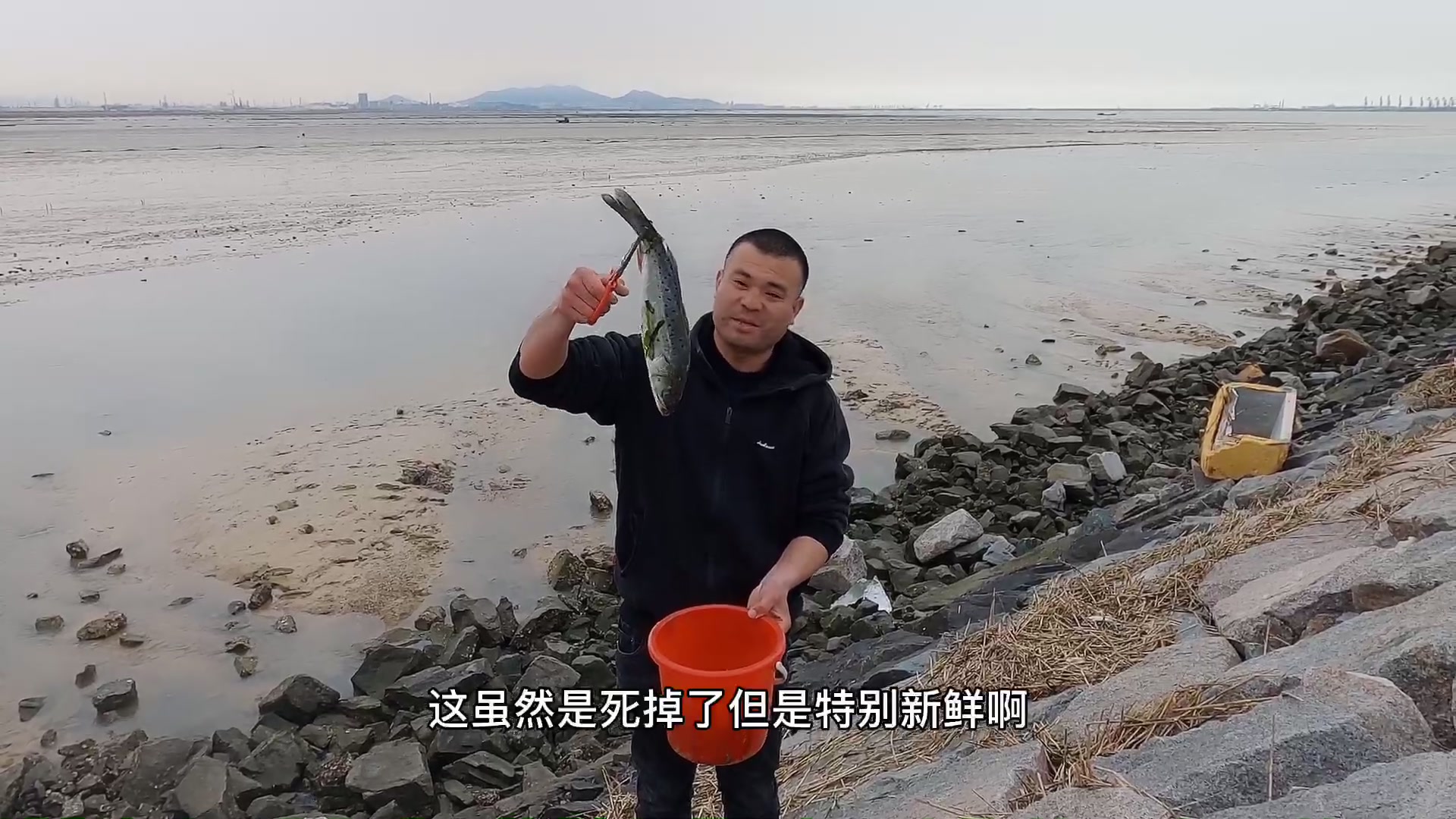 大海退潮大庆赶海来礁石区抓了好多螃蟹还捡到一个大便宜