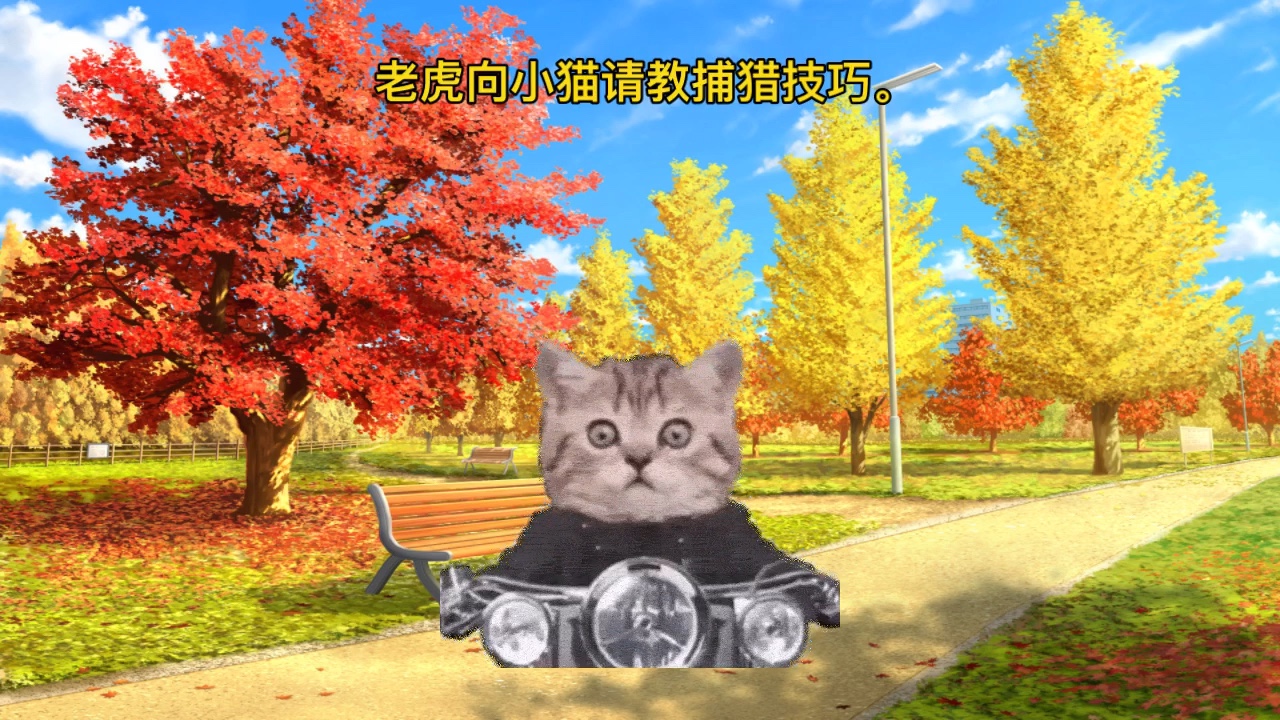 《猫和老虎》哔哩哔哩bilibili