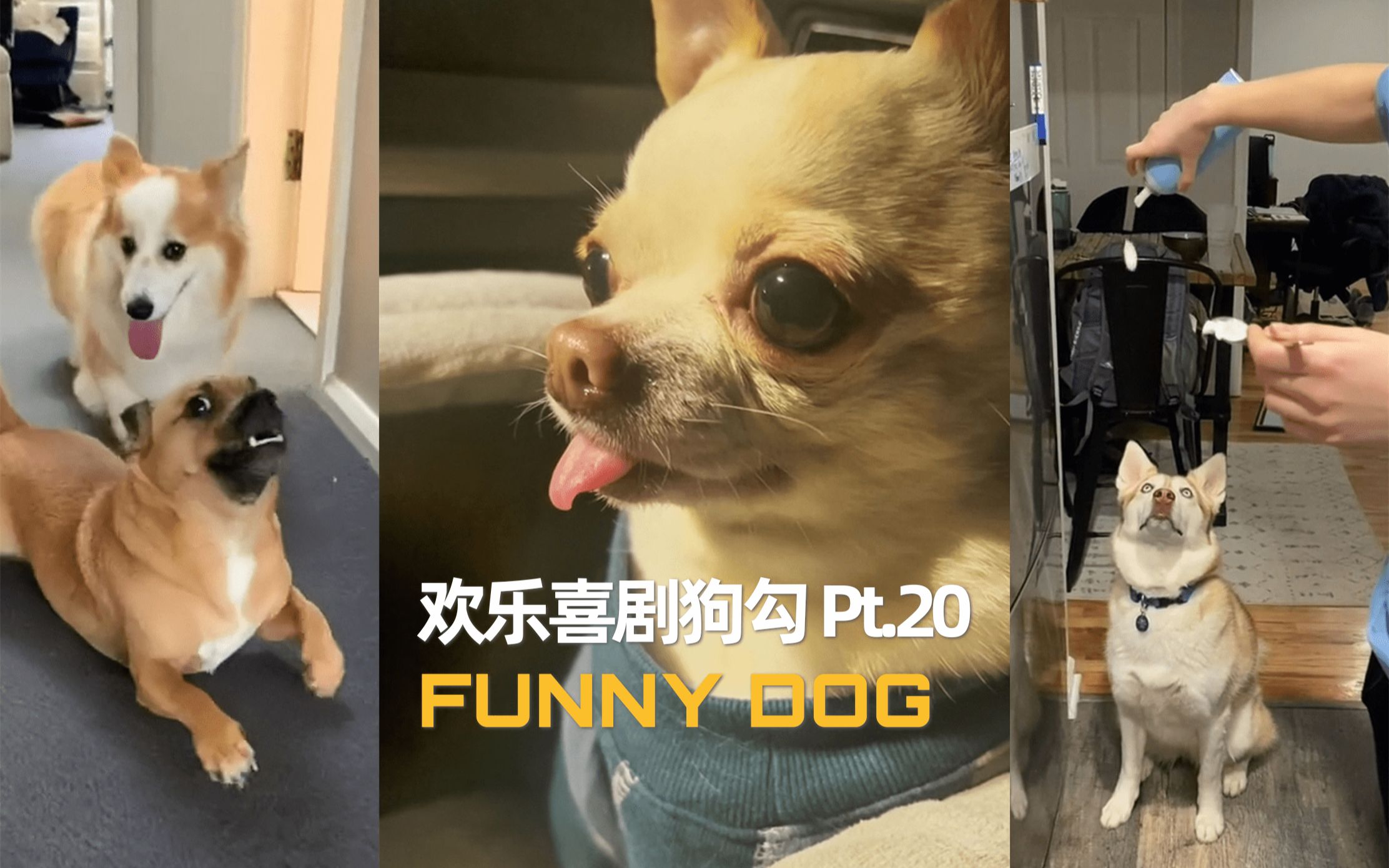 欢乐喜剧狗勾 Pt.20_哔哩哔哩_bilibili