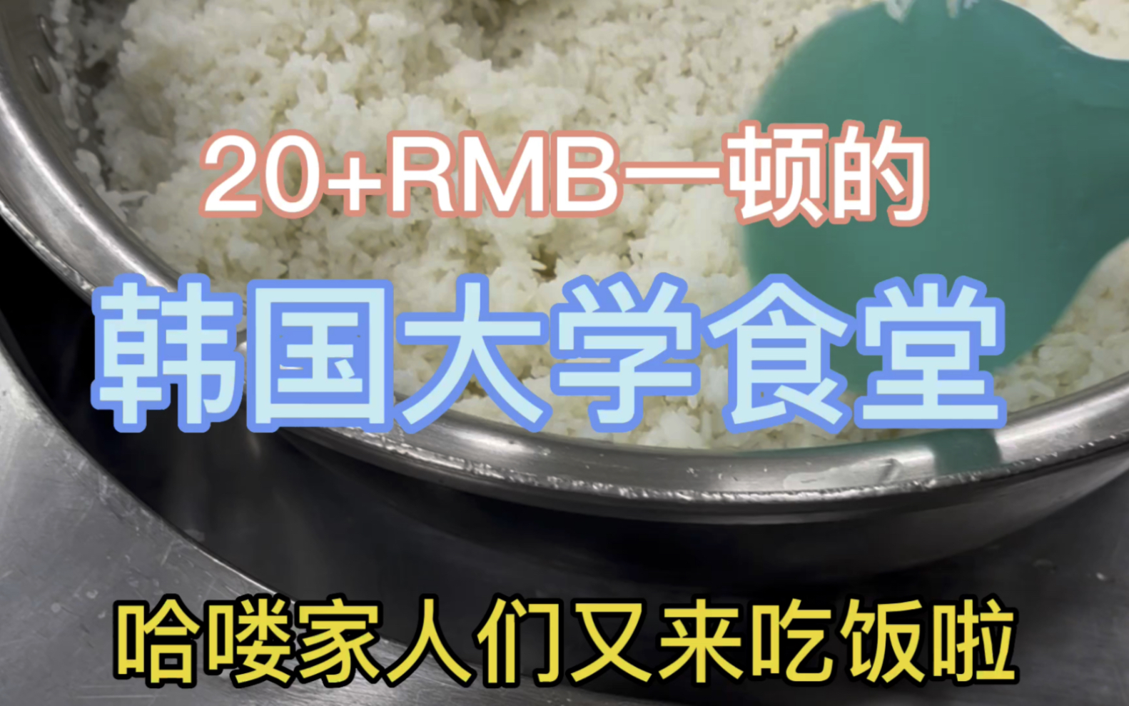 今天食堂的鱼是去掉内脏的!有进步!哔哩哔哩bilibili