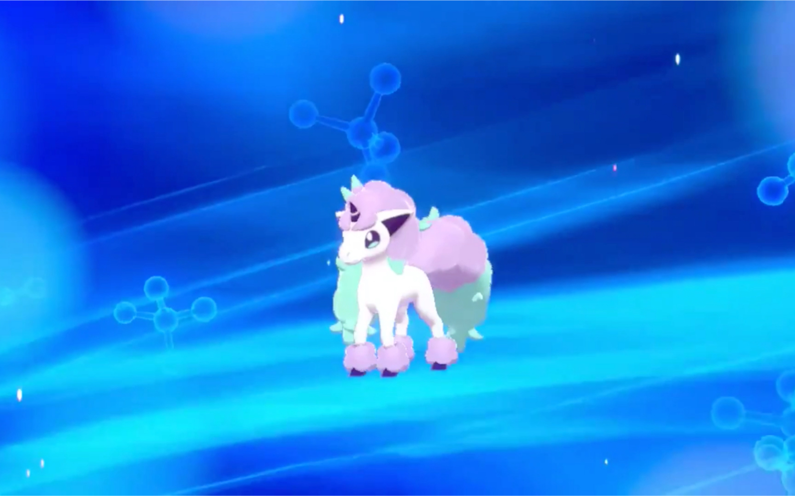 宝可梦盾专属彩虹马进化撸马就完事了