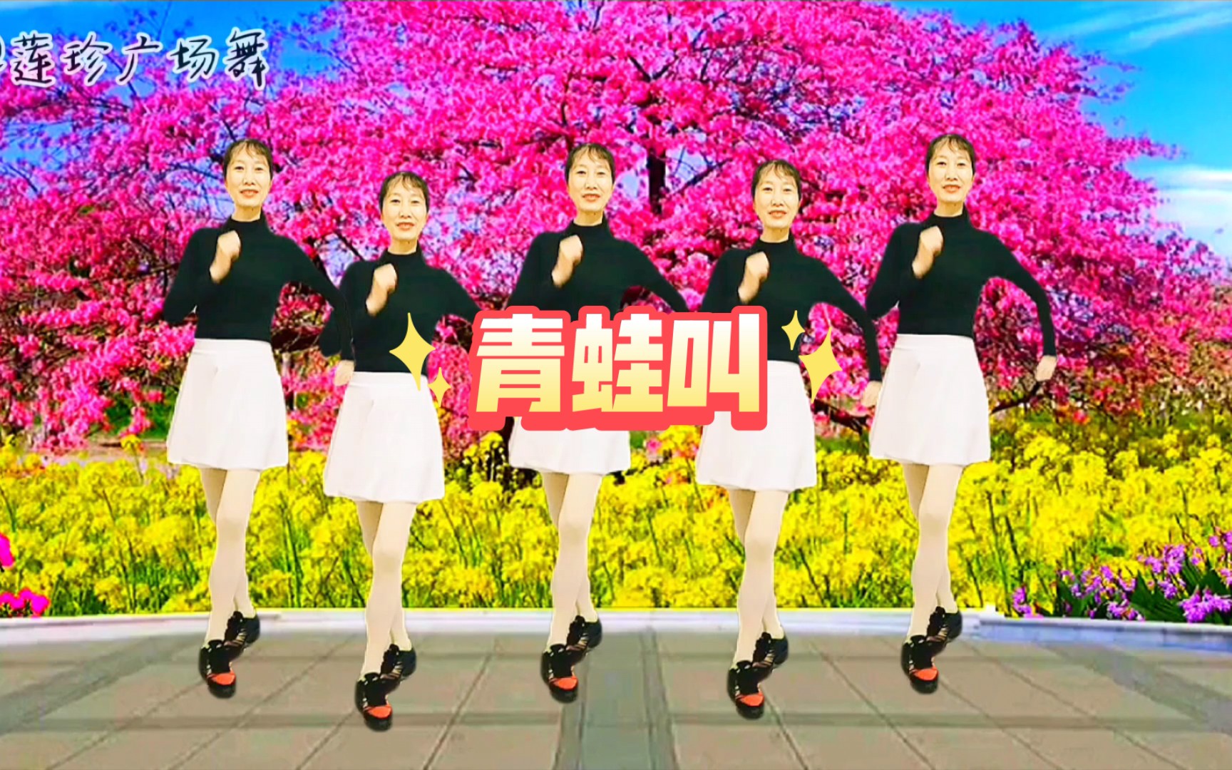 活动作品火爆流行广场舞青蛙叫