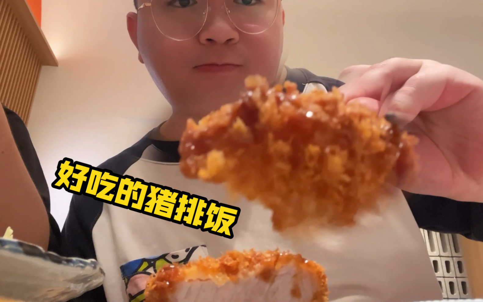 【石头and壹鸣】热腾腾的猪排配上大米饭,再来一口高丽菜!太幸福了哔哩哔哩bilibili