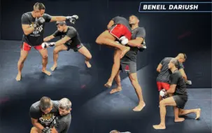 Single Legs For MMA By Beneil Dariush vol1