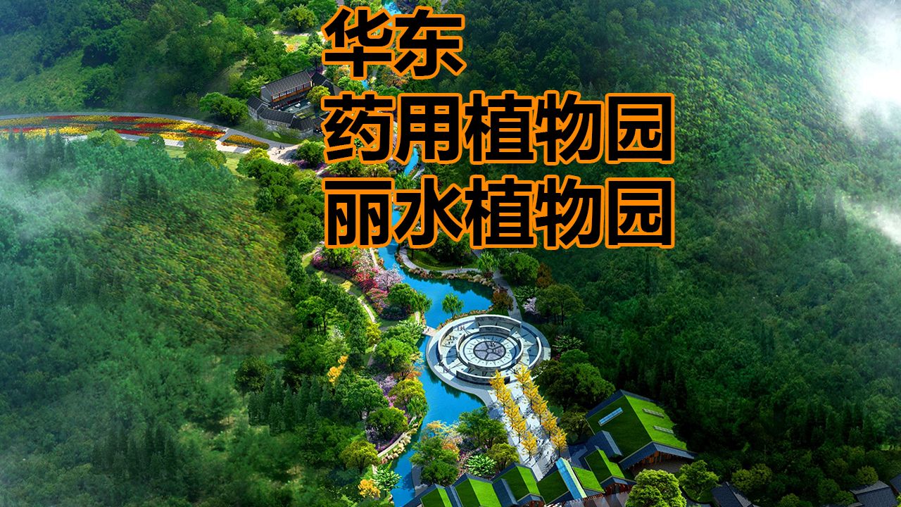 华东药用植物园(丽水植物园)规划设计哔哩哔哩bilibili