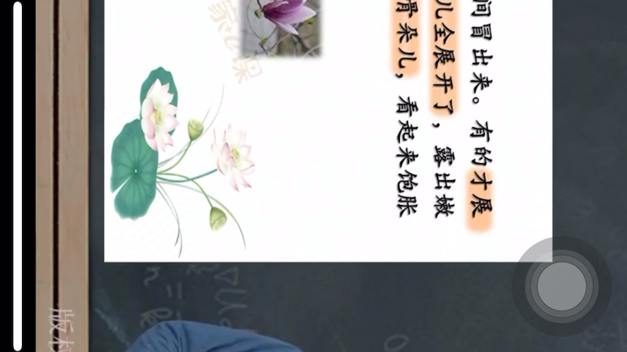 仿写<<荷花>>哔哩哔哩bilibili