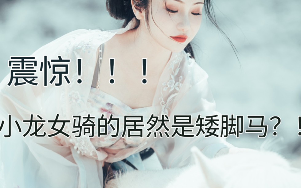 [图]什么？！这个小龙女骑的居然是一只矮脚马？！！！