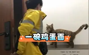 Descargar video: 大古和他的猫｜昨天太晚了没发，新家第二天，乔熹还是比较斯文的，还没有拆家迹象。她还是跟小时候一样喜欢看我做饭