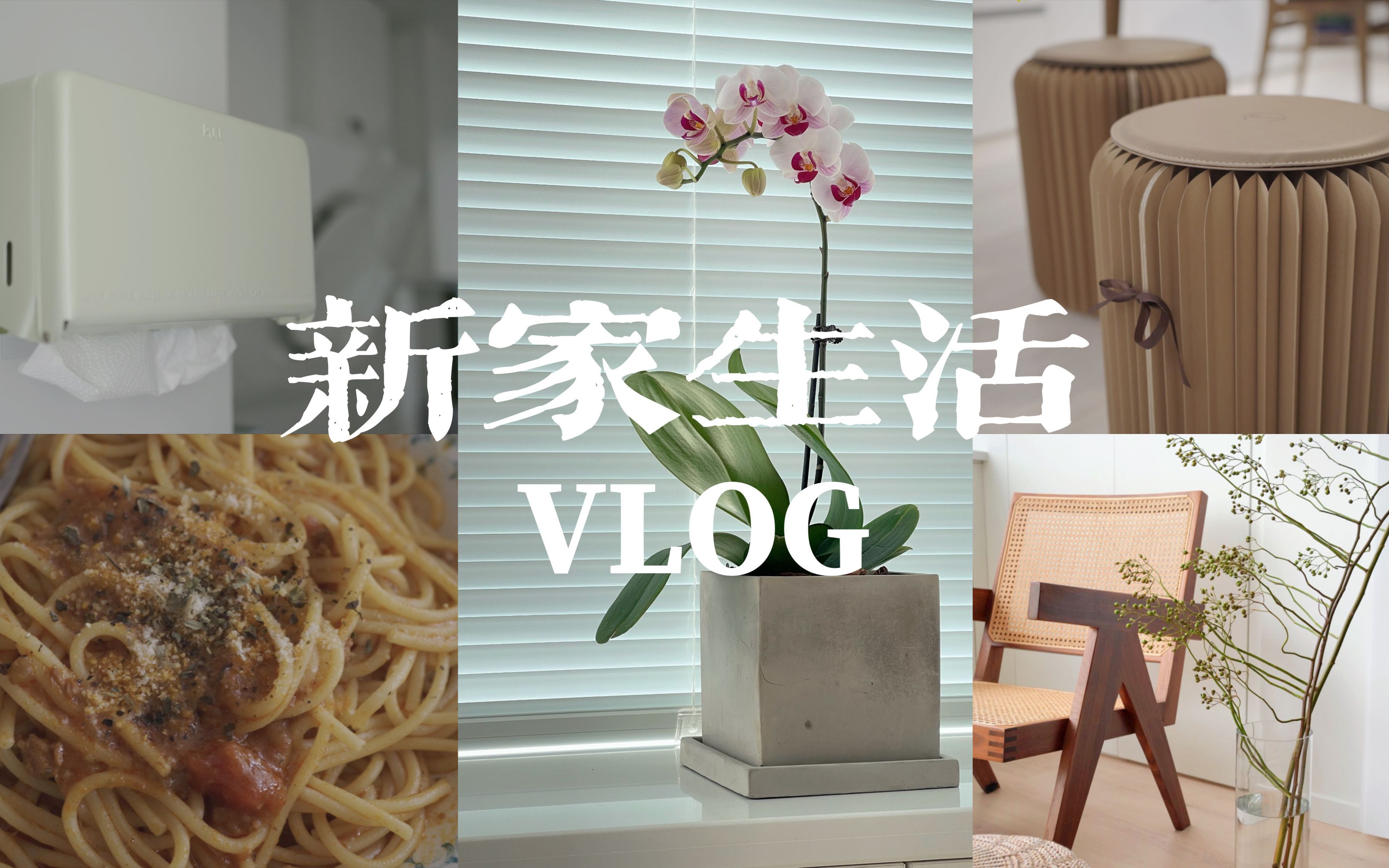 vlog|终于入住新家啦!|添置新家具 软装持续更新中|安装洞洞板|花花和绿植都能让心情变好|新杯子开箱|清洁哔哩哔哩bilibili