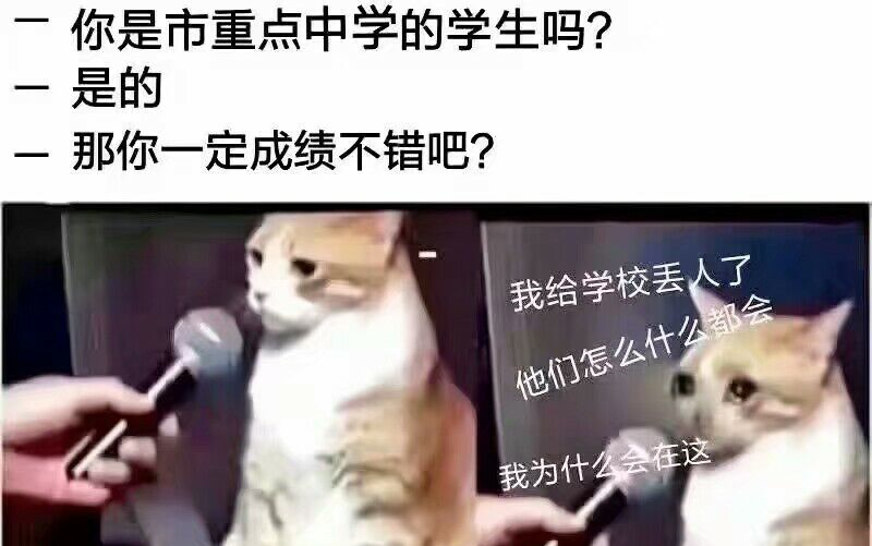 柯西不等式及其应用哔哩哔哩bilibili