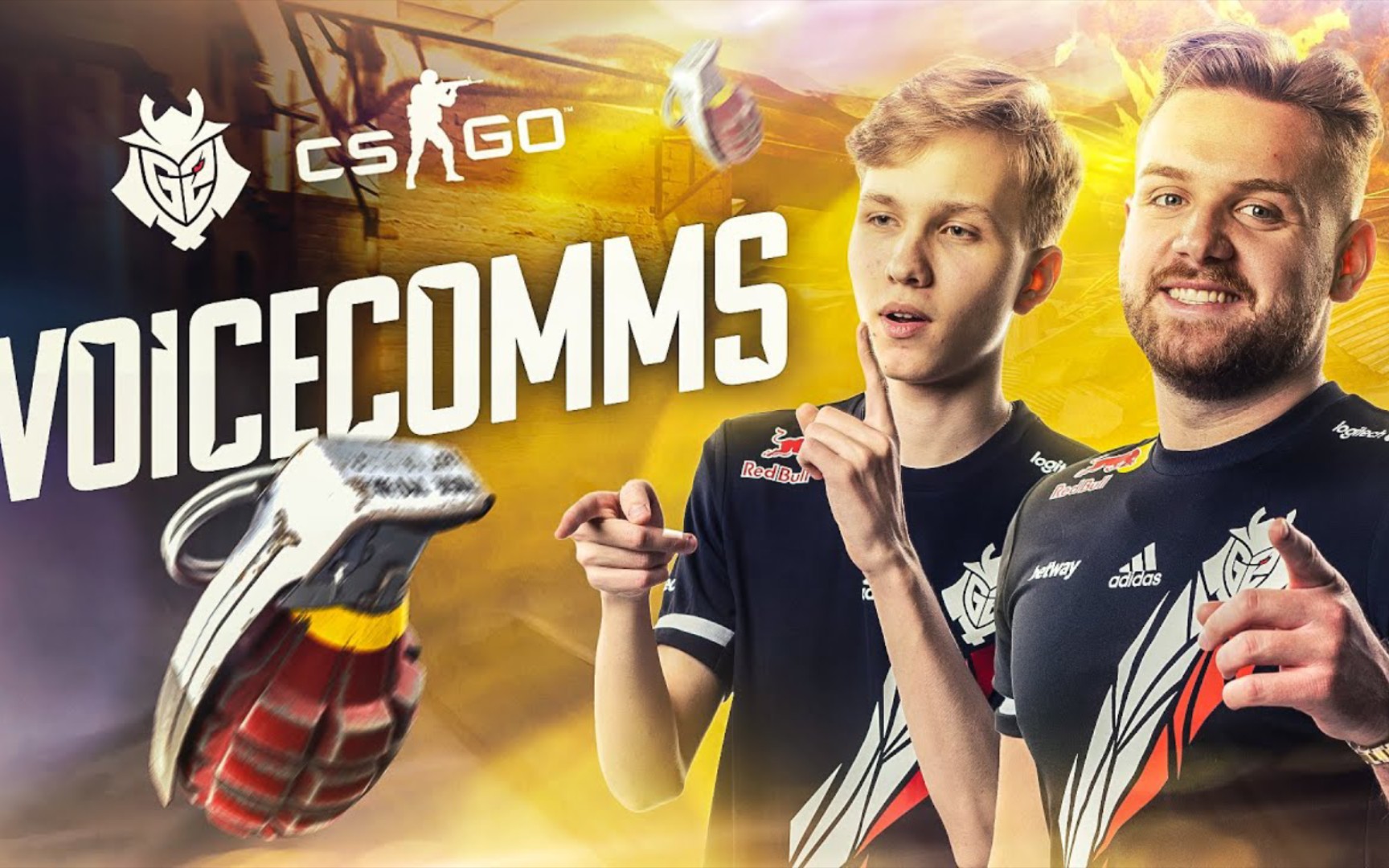 csgog2的rmr队内语音生肉机翻实在听不懂那些专业的报点什么的实在