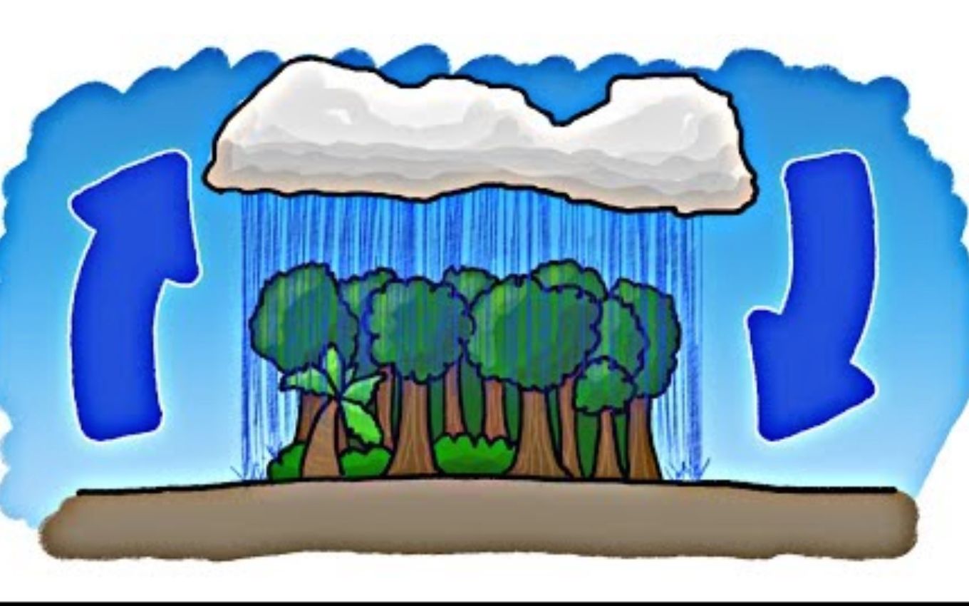 [图]【Minute Earth】先有雨还是先有热带雨林？Which Came First The Rain Or The Rainforest