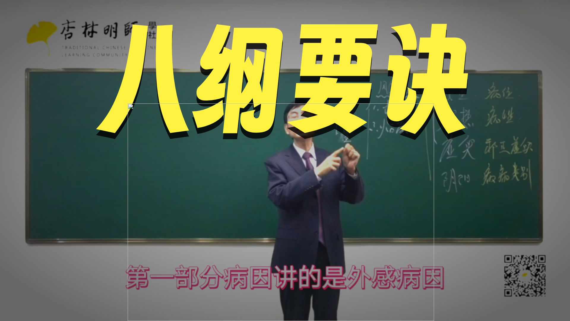张景明《八纲辨证》【8集】（完结）