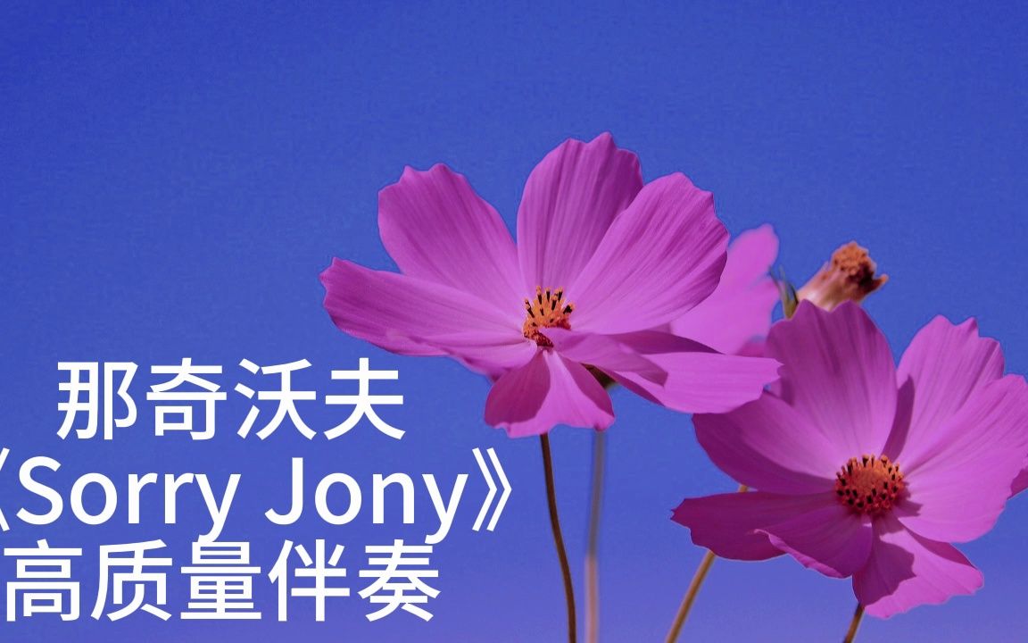 那奇沃夫--- sorry jony --- 高质量伴奏