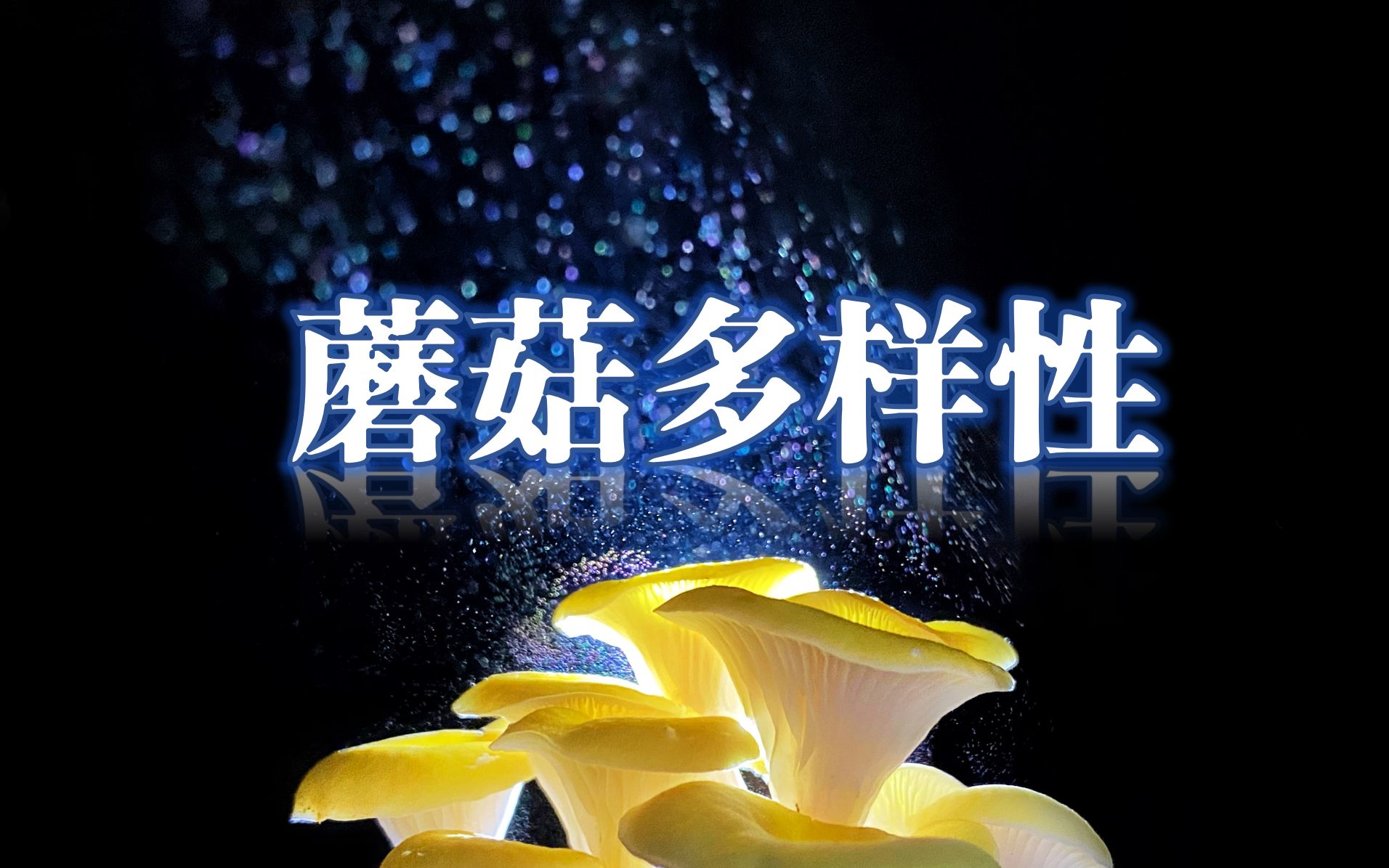 【生物多样性】中国蘑菇篇哔哩哔哩bilibili