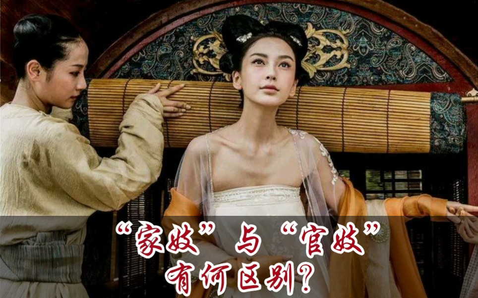 古代贵权三妻四妾 为何还要养家妓,家妓跟官妓有何区别?哔哩哔哩bilibili