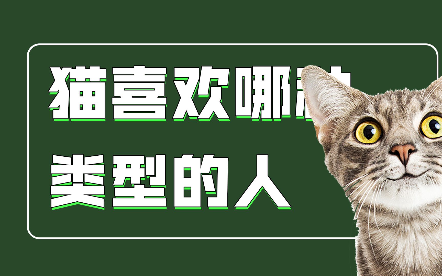 为什么那些不喜欢猫的人却能赢得猫咪的芳心呢?哔哩哔哩bilibili