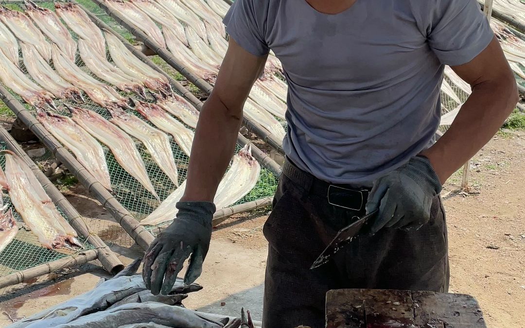 加长版割鱼来啦 ,菜刀一天换一把