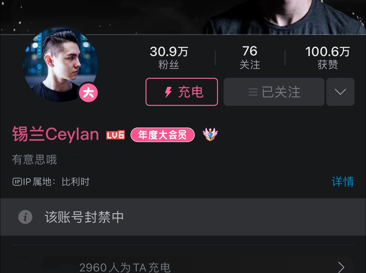 【封禁的up主1】锡兰Ceylan:曾经的百大哔哩哔哩bilibili