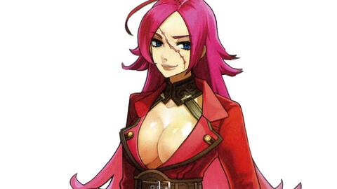 fgo:船长宝具本关卡