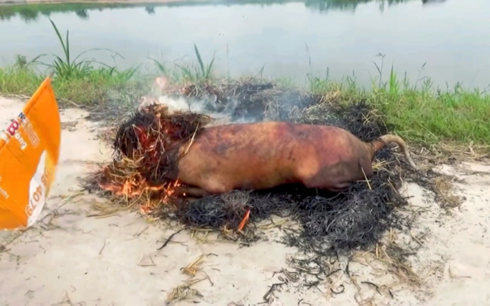 外国杀狗吃肉现场,狗肉滚一滚神仙站不稳,处理狗肉方式挺奇葩的哔哩哔哩bilibili